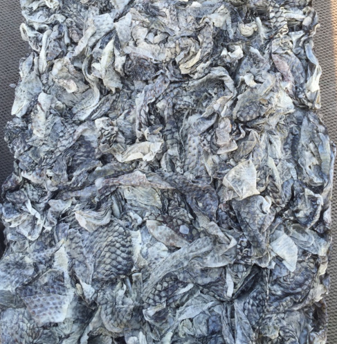 �_���~(y��)Ƥ_�_���~(y��)Ƥ�a(ch��n)Ʒ��B_�_���~(y��)Ƥ���l(f��)�r(ji��)��_�_���~(y��)ƤԔ��(x��)��Ϣ