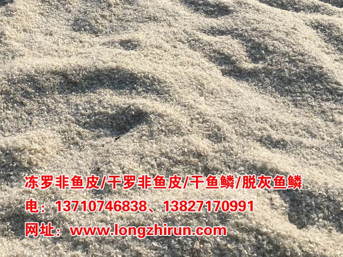 ���~(y��)�[_����(y��ng)��(y��u)�|(zh��)���~(y��)�[_���~(y��)�[�r(ji��)��_���~(y��)�[�S(ch��ng)��_���~(y��)�[���l(f��)�N(xi��o)��Ԕ��(x��)��Ϣ